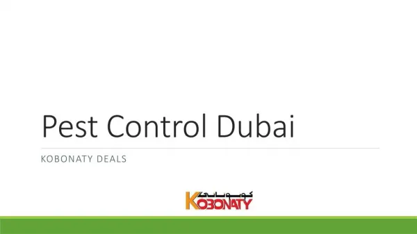 Best pest control Dubai