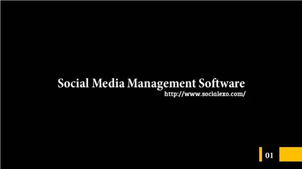 Social Media Management Software For Small Business