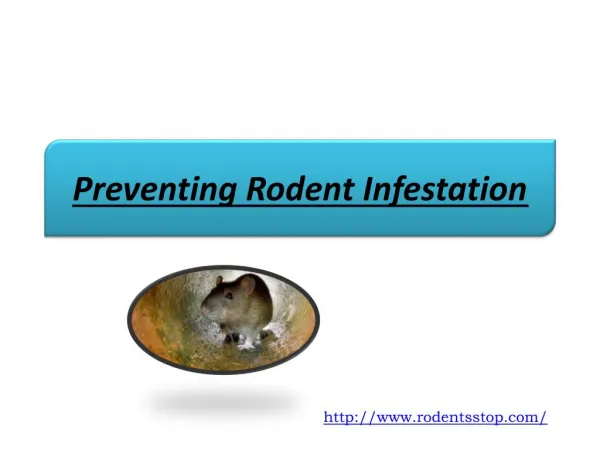 Preventing Rodent Infestation