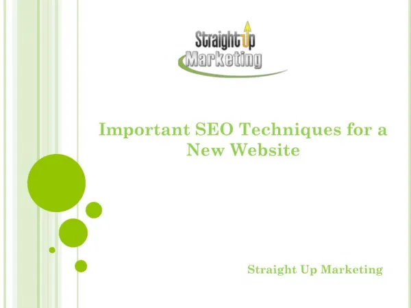 Important SEO Techniques for a New Website