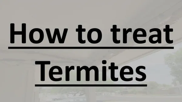 Blue mountains Termite Control