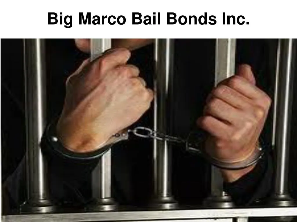 big marco bail bonds inc