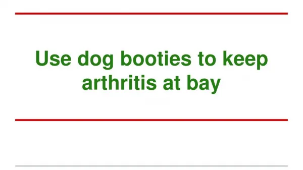 Use dog booties to keep arthritis at bay