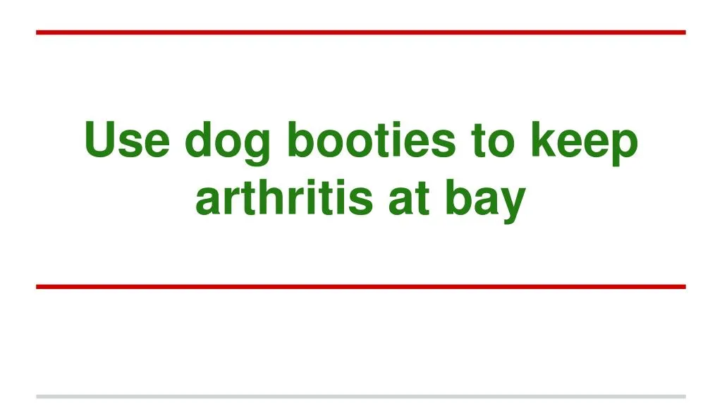 use dog booties to keep arthritis at bay