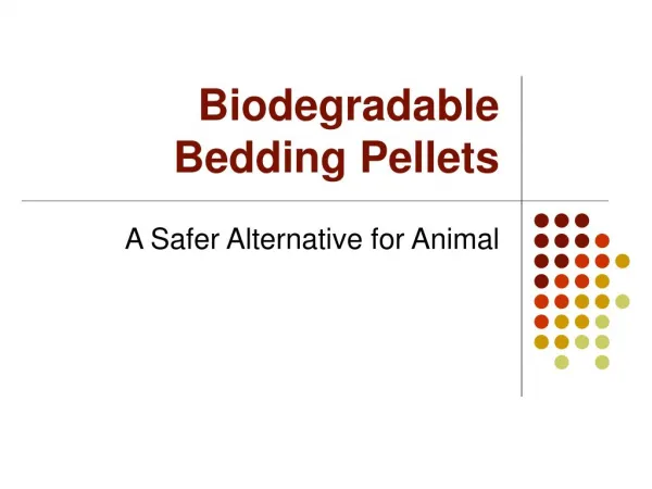 Biodegradable Bedding Pellets: Safer Alternative for Animal