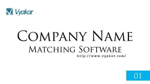 Company Name Matching Software