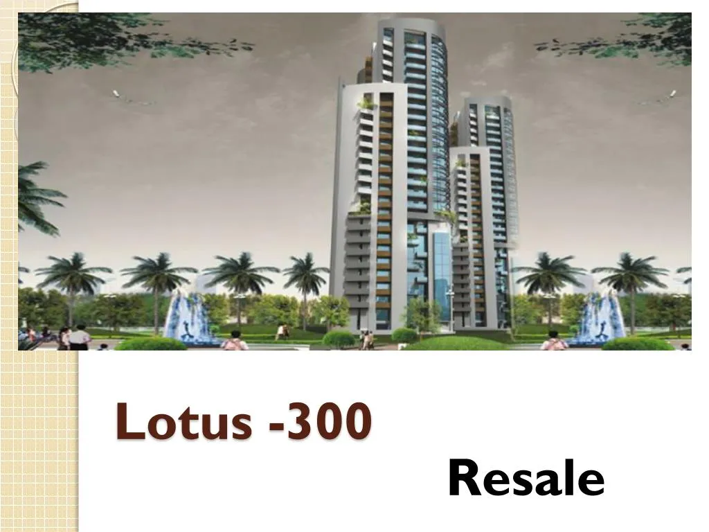 lotus 300