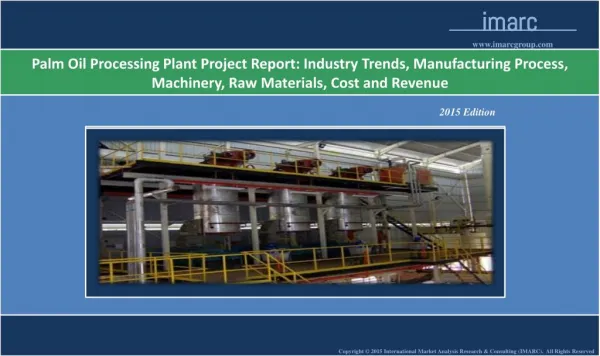 Palm Oil Processing Plant | Market Trends, Cost