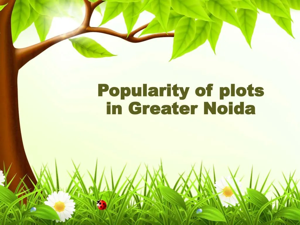 popularity of plots in greater noida