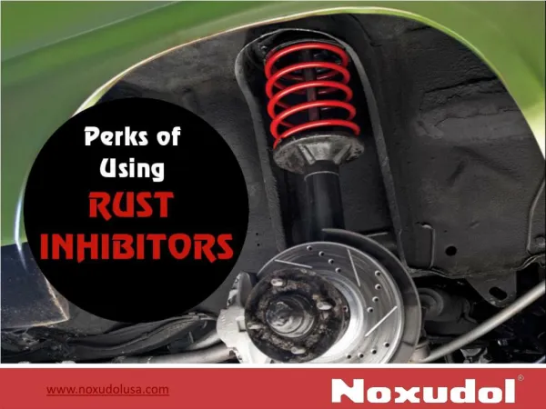 Applications of Using Rust Inhibitors