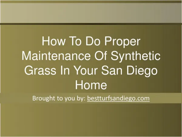 How To Do Proper Maintenance Of Synthetic Grass In Your San