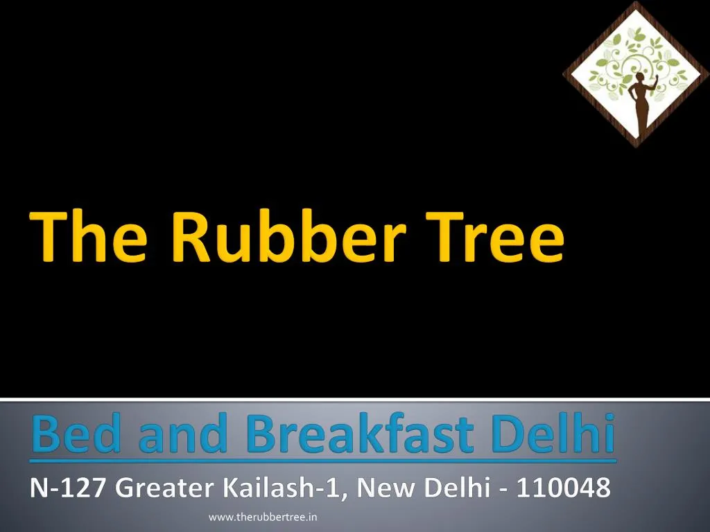 the rubber tree bed and breakfast delhi n 127 greater kailash 1 new delhi 110048