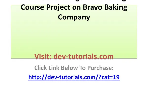ACCT 346 Managerial Accounting Course Project on Bravo Bakin