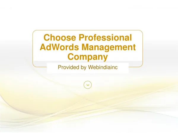 Choose Professional AdWords Management Company