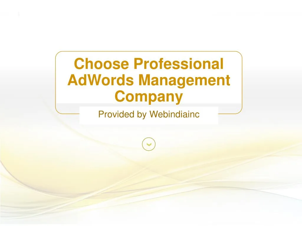 choose professional adwords management company