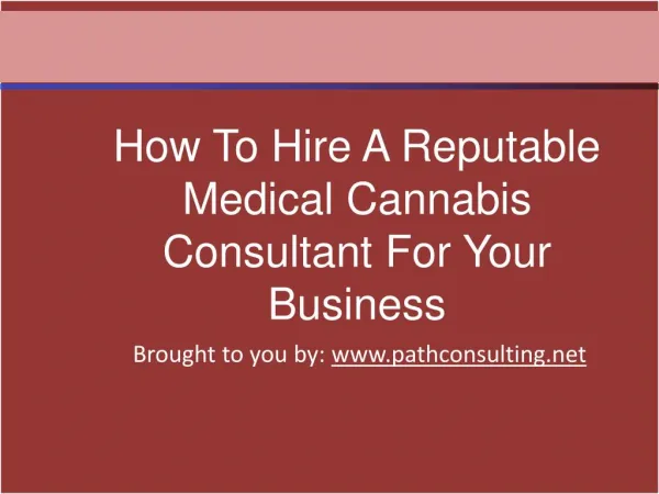 How To Hire A Reputable Medical Cannabis Consultant For Your