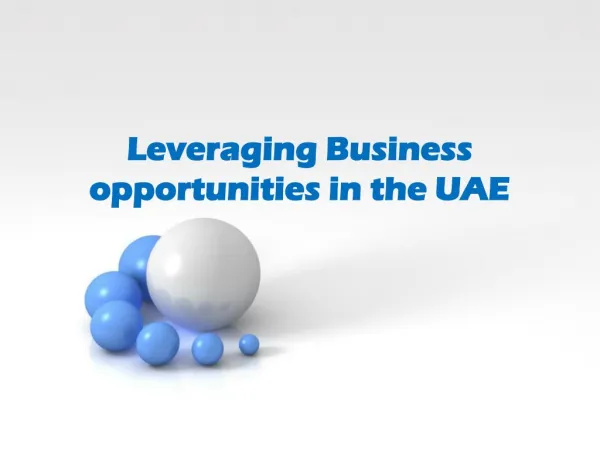 Take Maximum Advantage of UAE Busines