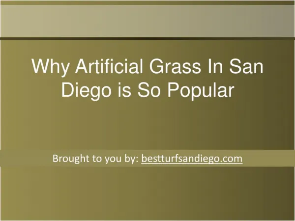 Why Artificial Grass In San Diego is So Popular