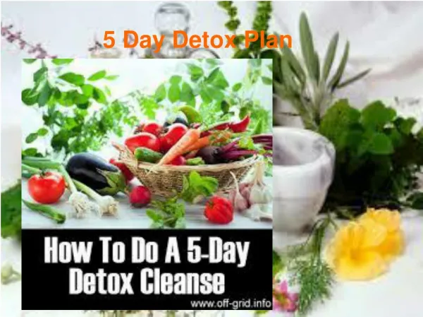 The Ultimate 5 Day Detox