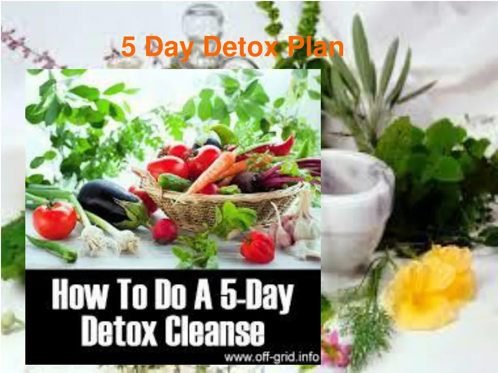 5 day detox plan