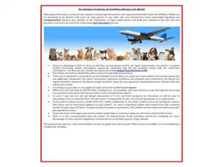 Pets Travel and Exporting Services UK with top Pet relocatio - slide 1