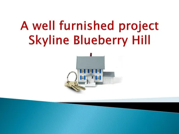 A well furnished project Skyline Blueberry Hill