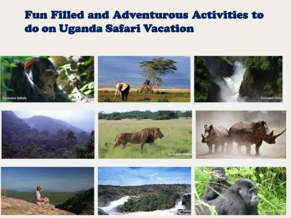Fun Filled and Adventurous Activities to do on Uganda Safari