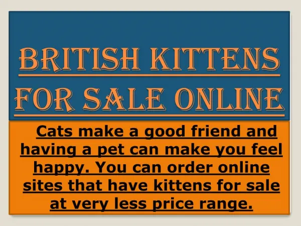 British Cats and Kittens For Sale