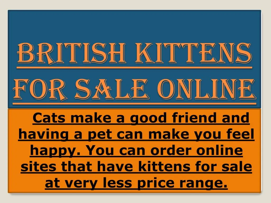 british kittens for sale online