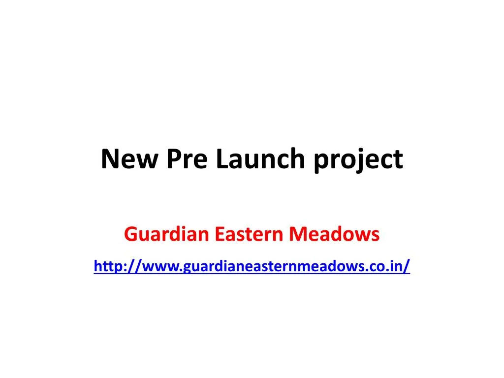 new pre launch project