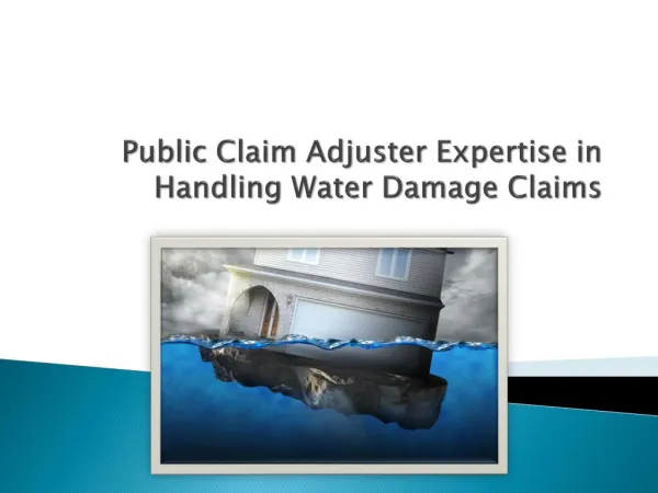 Public Claim Adjuster Expertise in Handling Water Damage