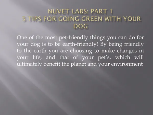 NuVet Labs: Part 1 - 5 Tips for Going Green With Your Dog
