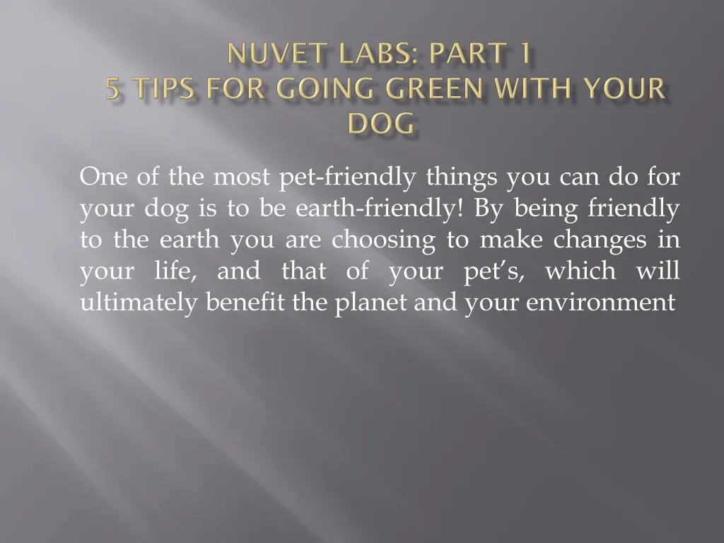 nuvet labs part 1 5 tips for going green with your dog