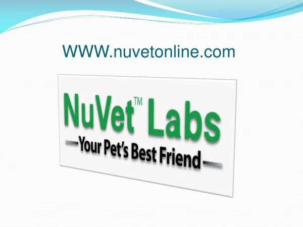 NuVet Labs Part 2 - 5 More Tips for Going Green With Your D