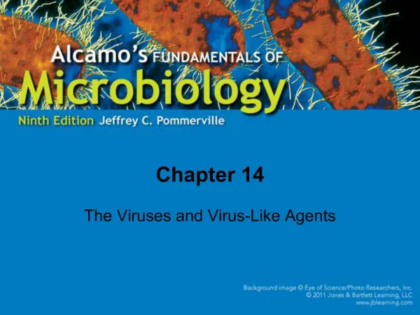 The Viruses and Virus-Like Agents