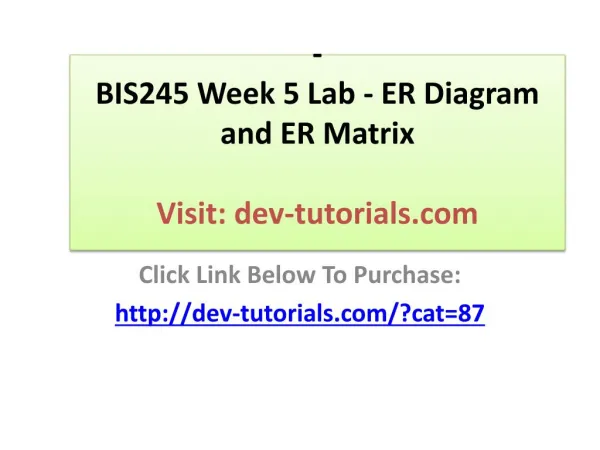 BIS245 Week 5 Lab - ER Diagram and ER Matrix