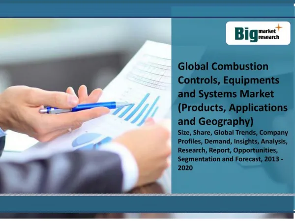 Global Combustion Controls, Equipments and Systems Market