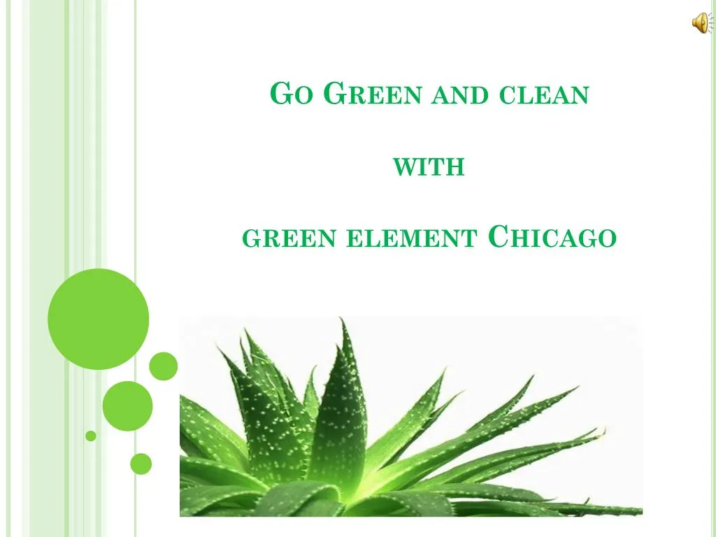 go green and clean with green element chicago