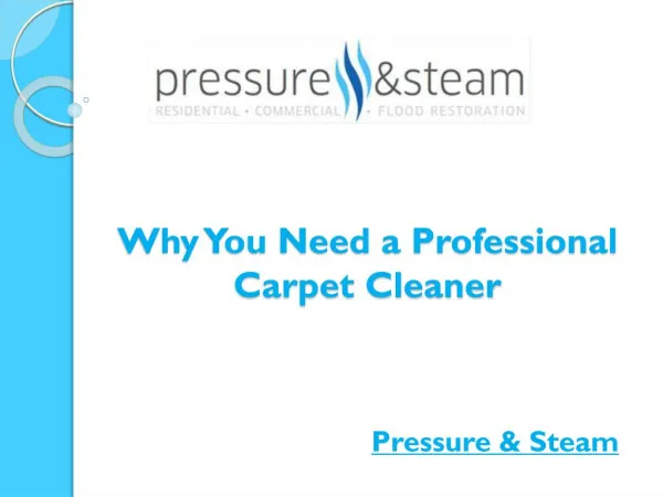 Why You Need a Professional Carpet Cleaner