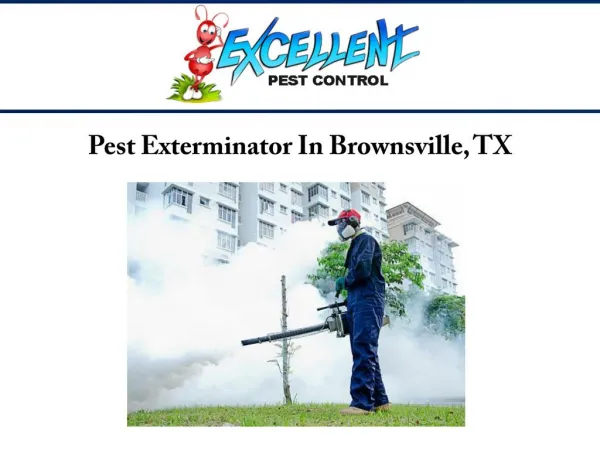 Pest Exterminator In Brownsville, TX