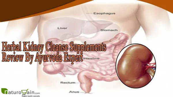 Herbal Kidney Cleanse Supplements Review By Ayurveda Expert