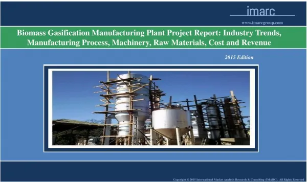 Biomass Gasification Plant | Market Trends, Cost