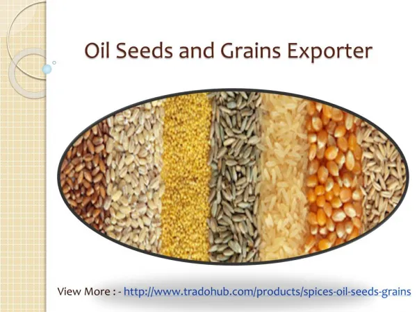 Oil Seeds and Grains Exporter