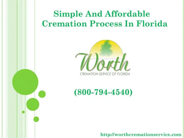 Simple And Affordable Cremation Process In Florida