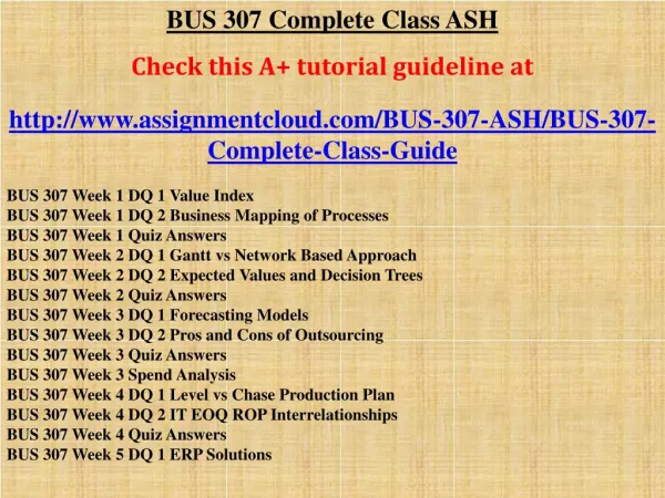 BUS 307 Complete Class ASH