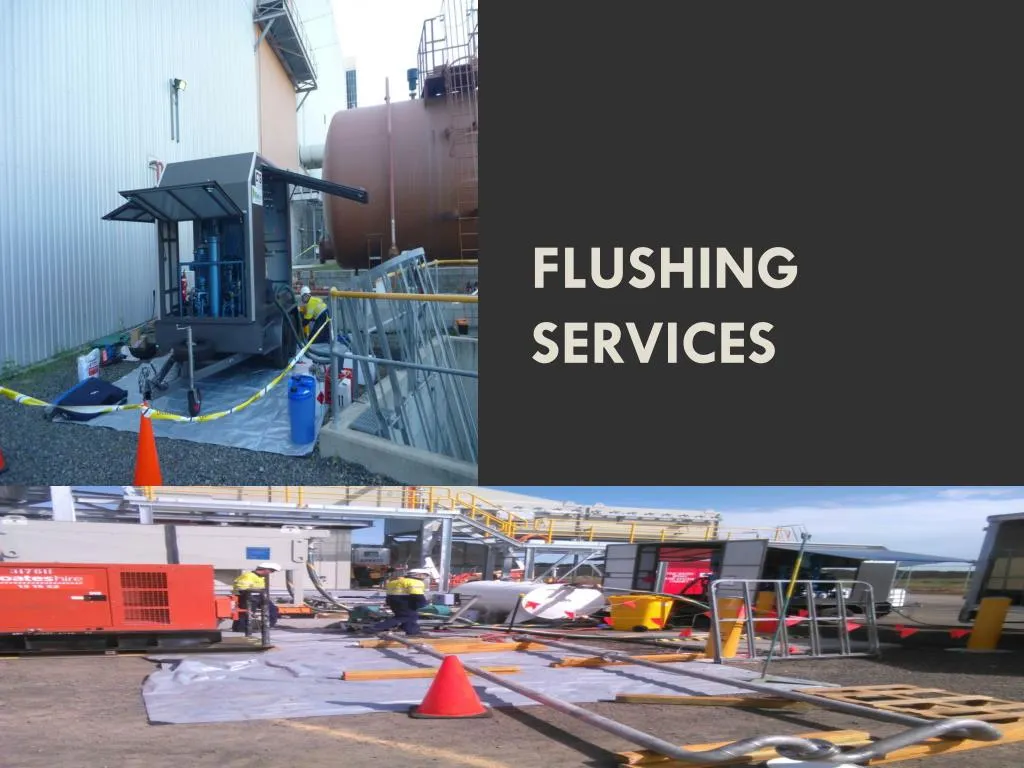 flushing services
