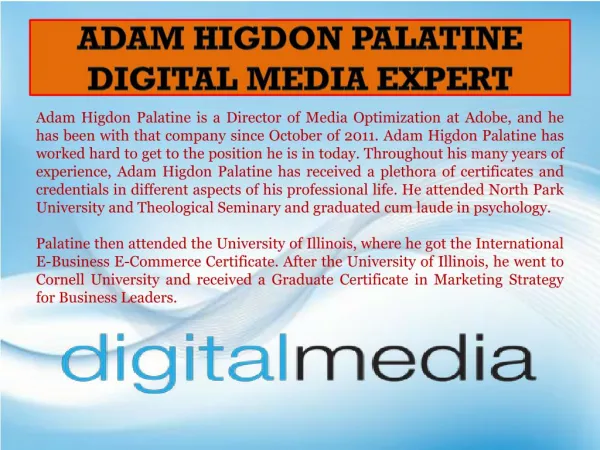 Adam Higdon Palatine - Digital Media Expert