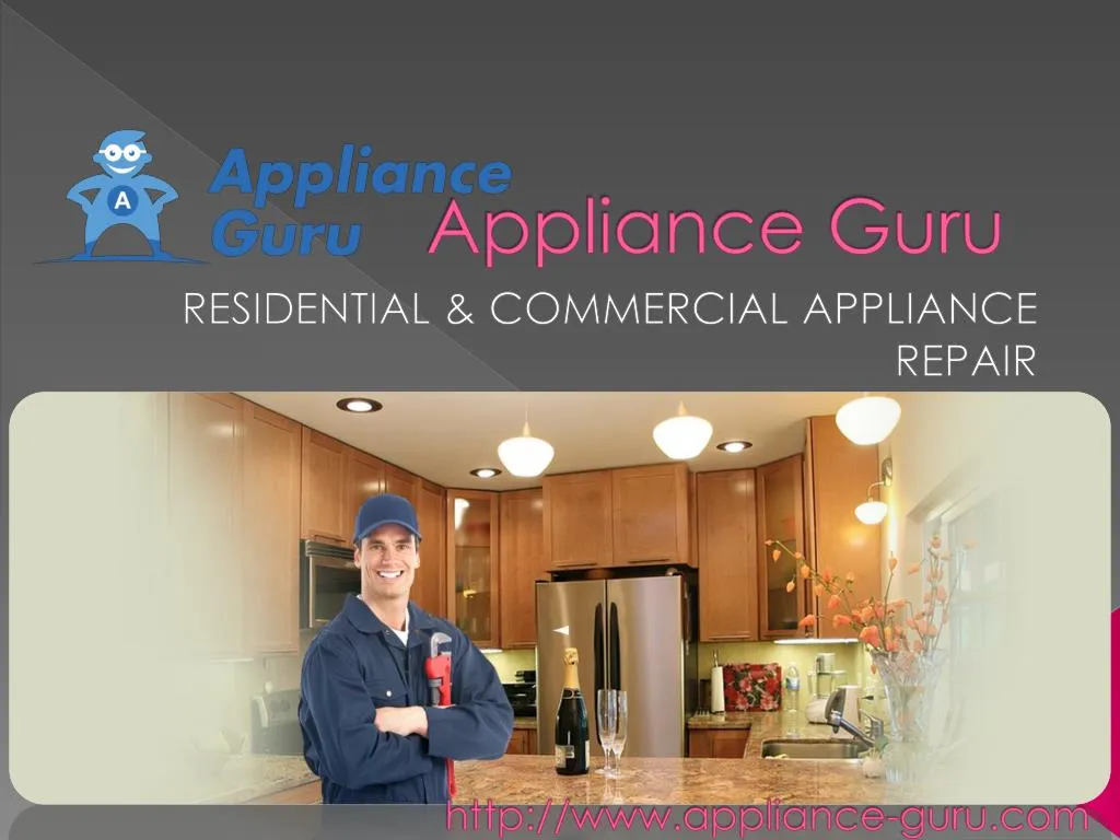 appliance guru