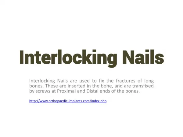 Manufacturer and suppliers Interlocking Nails