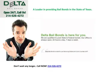 Bail Bonds - slide 1